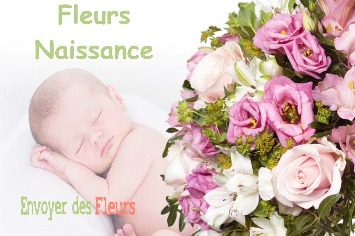 lIVRAISON FLEURS NAISSANCE à GAURE